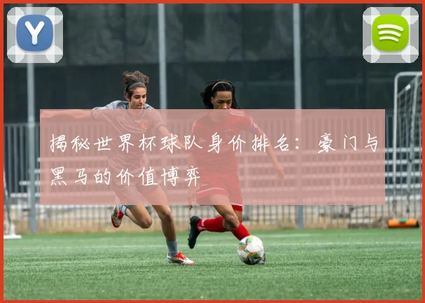揭秘世界杯球队身价排名：豪门与黑马的价值博弈