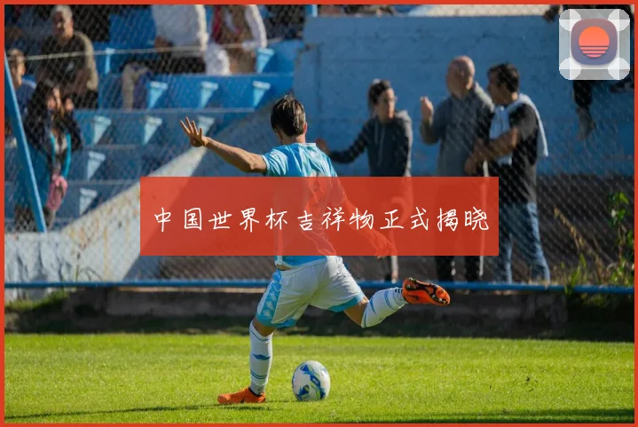 中国世界杯吉祥物正式揭晓