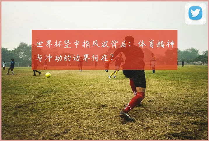 世界杯竖中指风波背后:体育精神与冲动的边界何在?