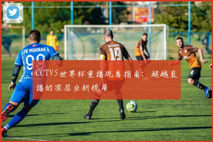 CCTV5世界杯重播观看指南：超越直播的深层分析视角