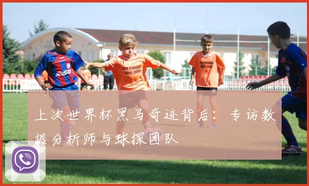 上次世界杯黑马奇迹背后:专访数据分析师与球探团队