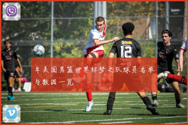 年美国男篮世界杯梦之队球员名单与数据一览