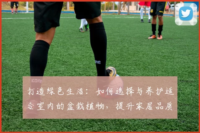 打造绿色生活：如何选择与养护适合室内的盆栽植物，提升家居品质