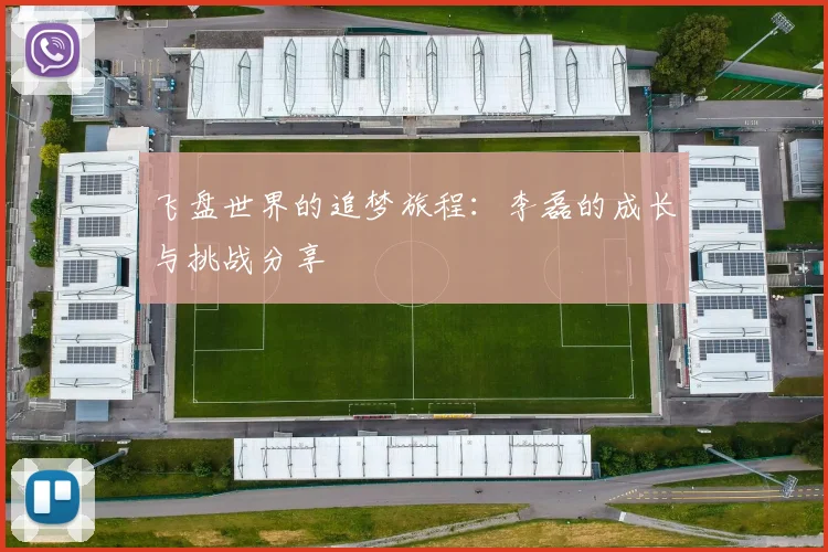 飞盘世界的追梦旅程：李磊的成长与挑战分享
