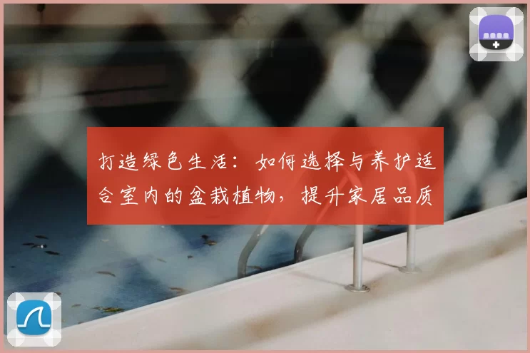 打造绿色生活：如何选择与养护适合室内的盆栽植物，提升家居品质