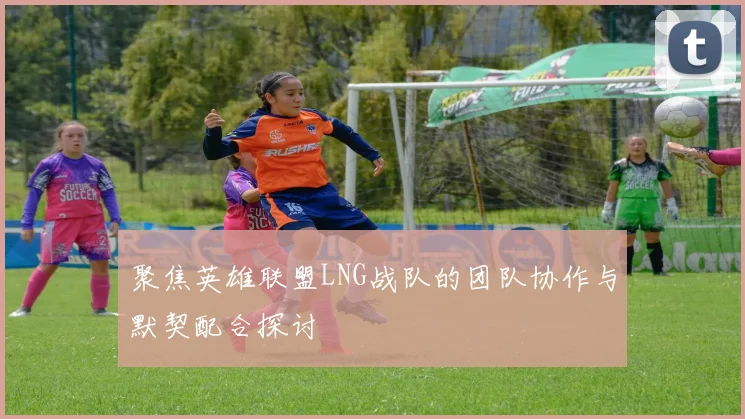 聚焦英雄联盟LNG战队的团队协作与默契配合探讨