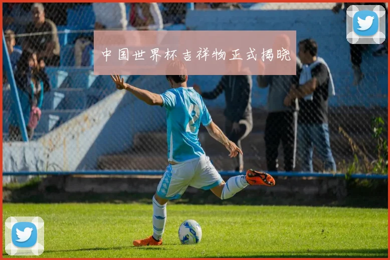 中国世界杯吉祥物正式揭晓
